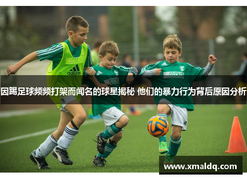 因踢足球频频打架而闻名的球星揭秘 他们的暴力行为背后原因分析